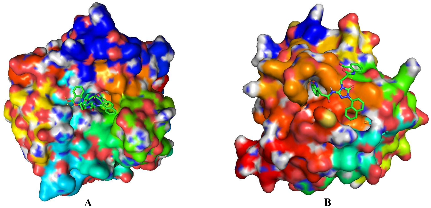 Two colored protein surface models illustrating molecular binding. Image A shows a compound binding at one location; Image B shows the same compound binding at a different position on another protein structure, indicating multi-target potential in drug design.