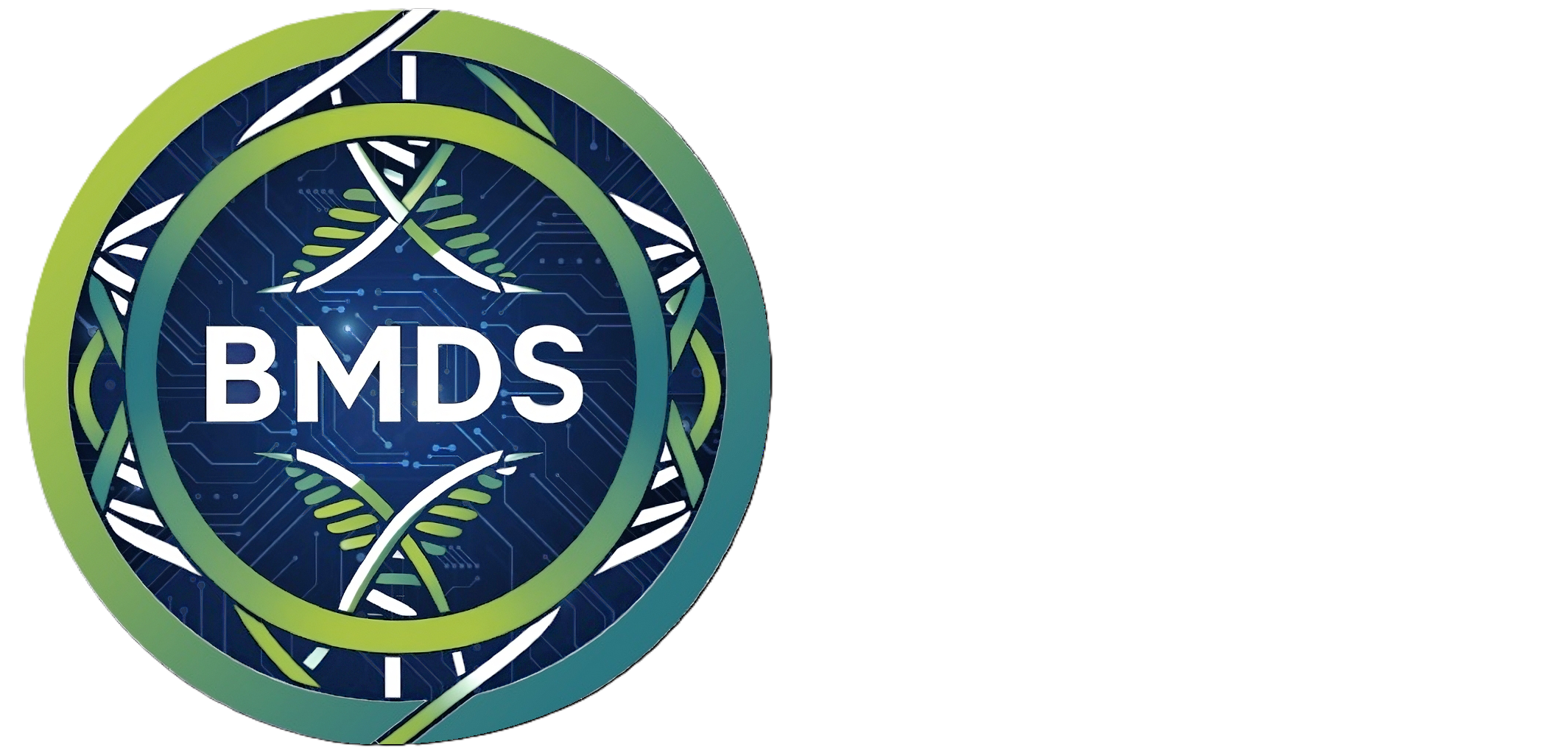 BMDS Logo